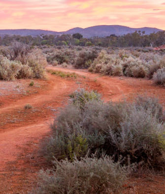 A red dirt road through Australian scrublands at sunset