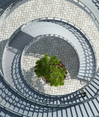 Bird's eye view of an outdoor spiral staircase surrounding a potted tree