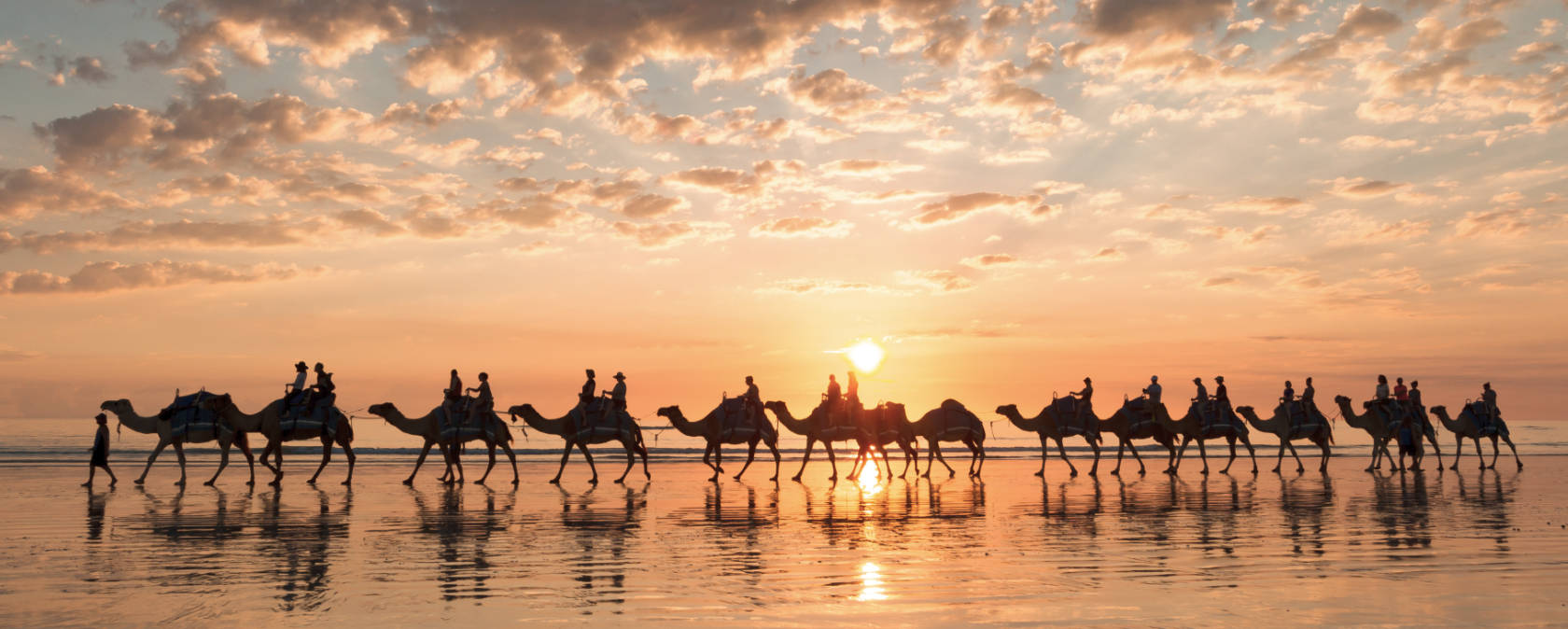 A caravan of camels walk the beach at sunset